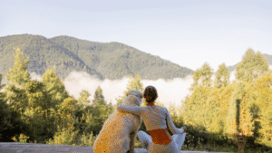 the balanced midlife about page